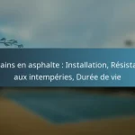 featured-image-terrains-en-asphalte-installation-resistance-au-intemperies-duree-de-vie