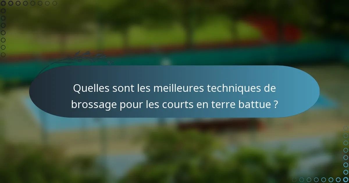 Quelles sont les meilleures techniques de brossage pour les courts en terre battue ?