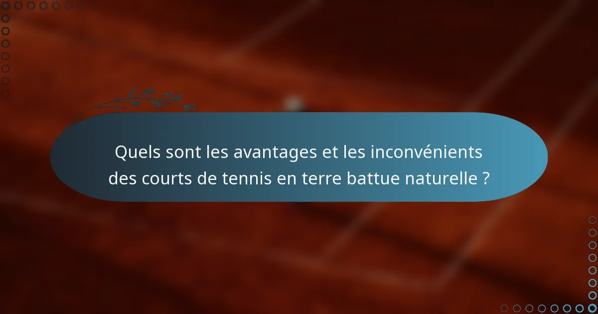 Quels sont les avantages et les inconvénients des courts de tennis en terre battue naturelle ?